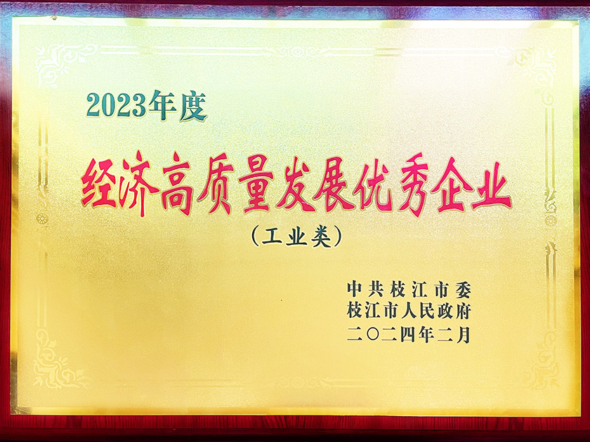 2023年度“經濟高質量發(fā)展優(yōu)秀企業(yè)”